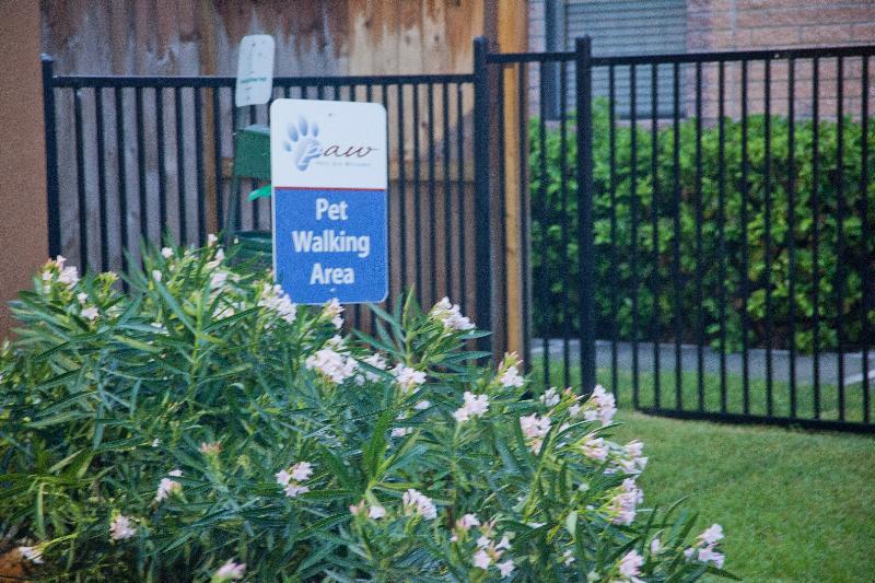 Extended Stay America Suites - Houston - Katy - I-10 Exteriör bild